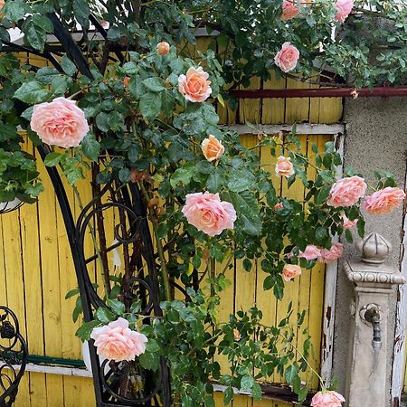 Luxurious Villa With Lush Garden And Huge Terrace Near Herastrau Park بوخارست المظهر الخارجي الصورة